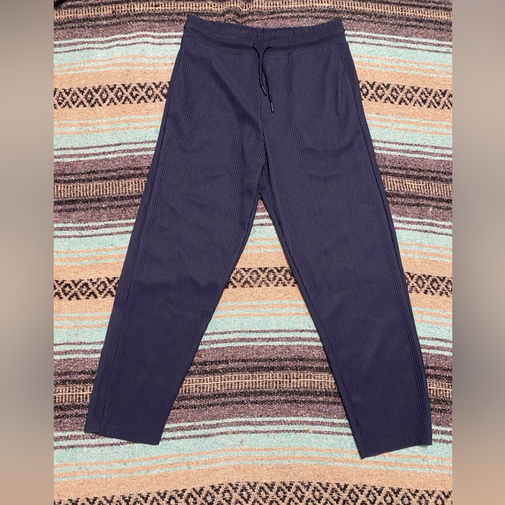 Zara Men's Dark Blue Plisse Pants